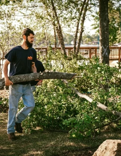 A&D bearded worker carrying leafy limb lakeside dock cay