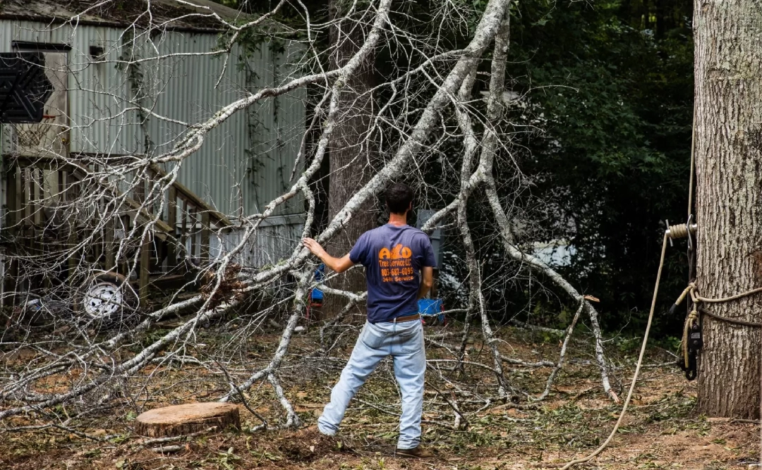 A&D branded tee worker felled dead tree branches mobile 