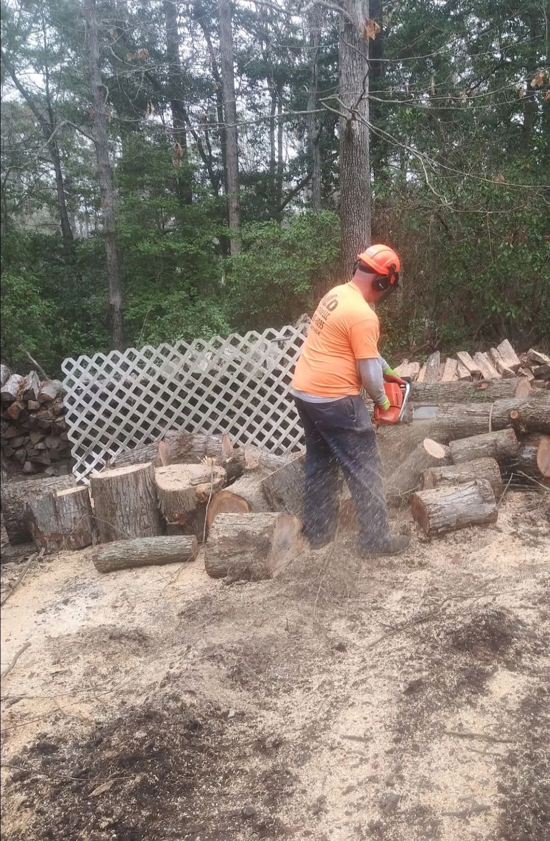 A&D bucking logs white lattice sawdust cayce
