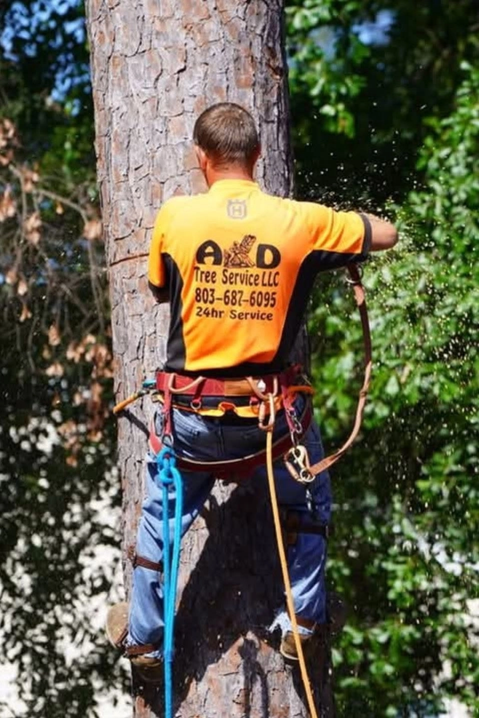 A&D climber orange shirt harness spurs pine trunk cayce 