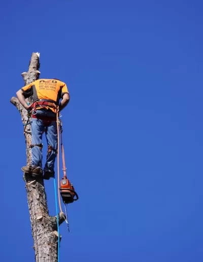 A&D climber standing atop bare spar cayce