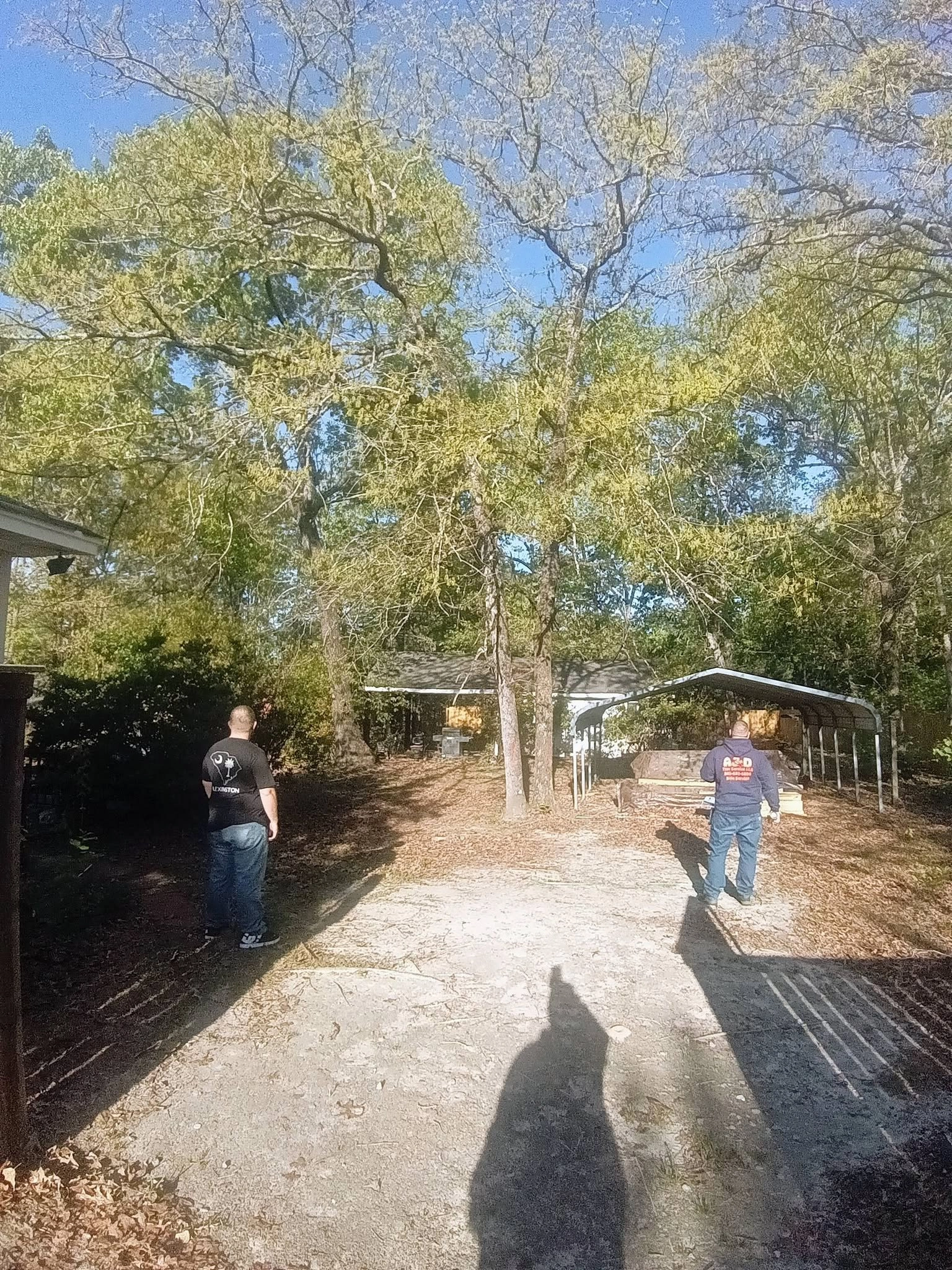 A&D crew assessing spring oak metal carport sandy yard c