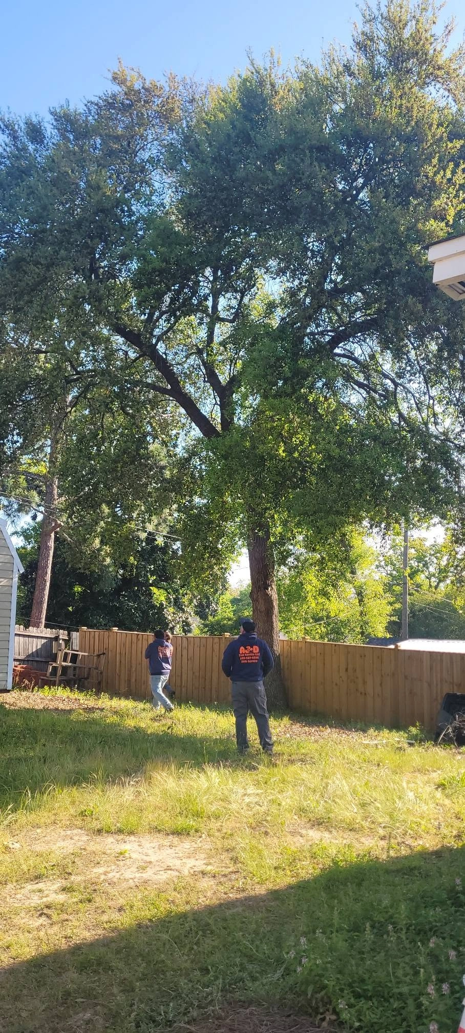 A&D crew backyard oak new privacy fence cayce