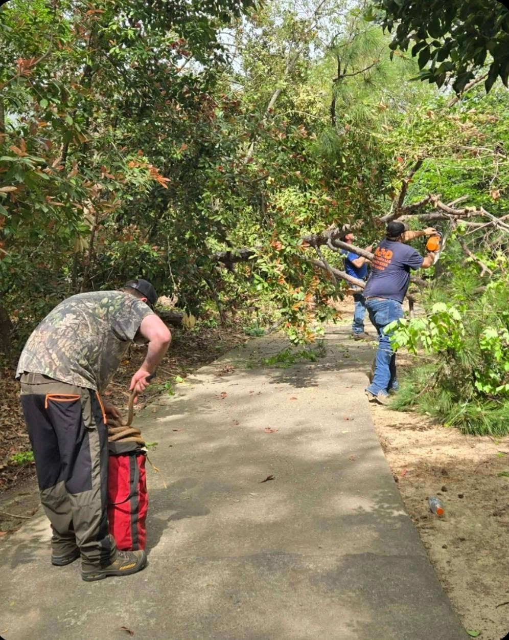 A&D crew chainsaw fallen pine driveway cayce