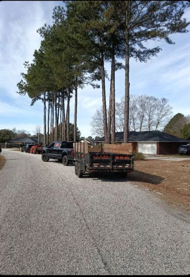 A&D dump trailer black truck pine lined street west colu