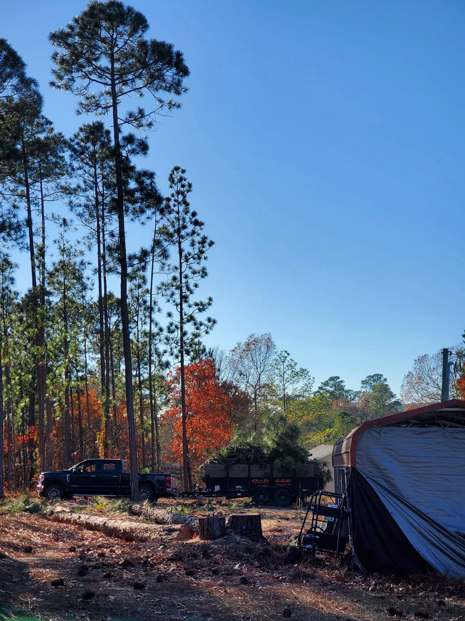 A&D dump trailer pine brush fresh stumps cayce