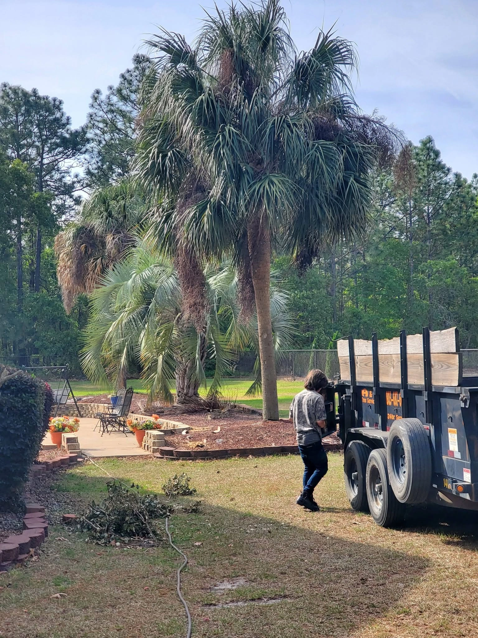A&D dump trailer tall sabal palms patio cayce