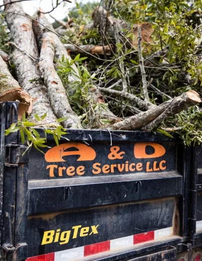 A&D lettered bigtex dump trailer loaded oak logs cayce