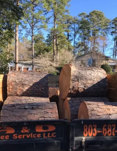 A&D lettered dump trailer loaded pine log rounds cayce