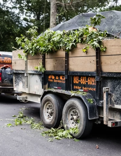 A&D lettered dump trailer loaded sweetgum brush cayce