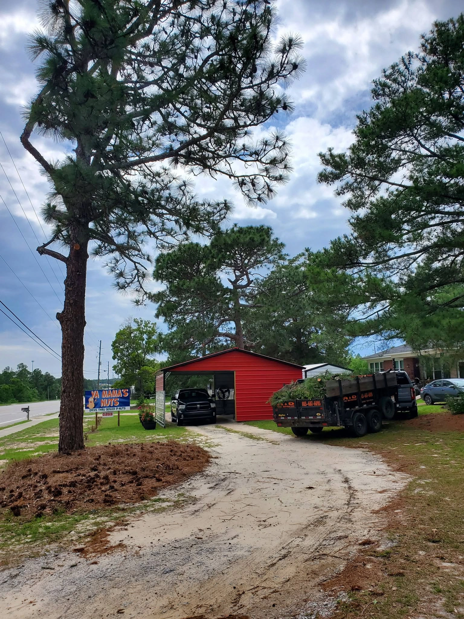 A&D lettered dump trailer pine brush red carport roadsid