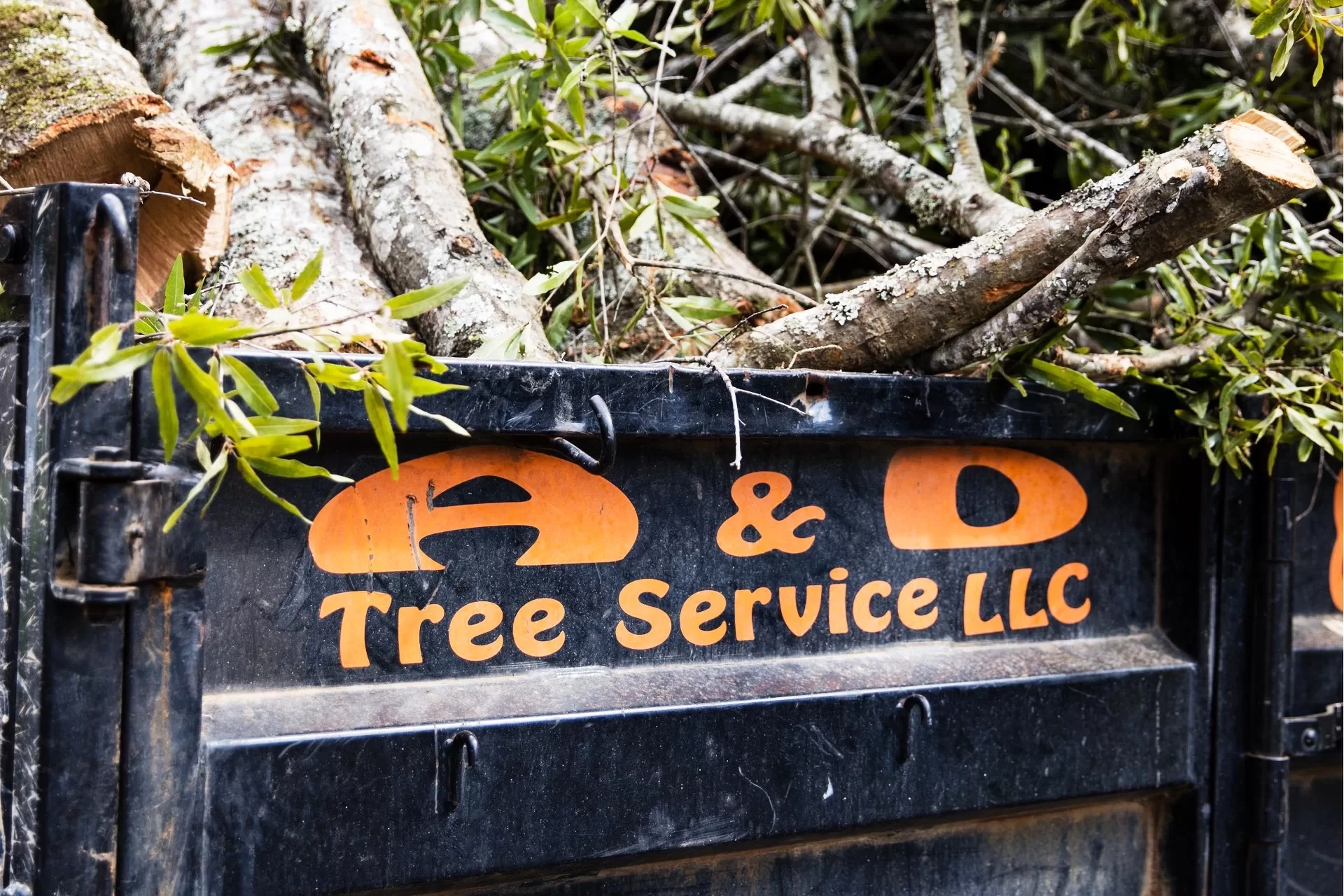 A&D orange lettering closeup dump trailer oak branches c