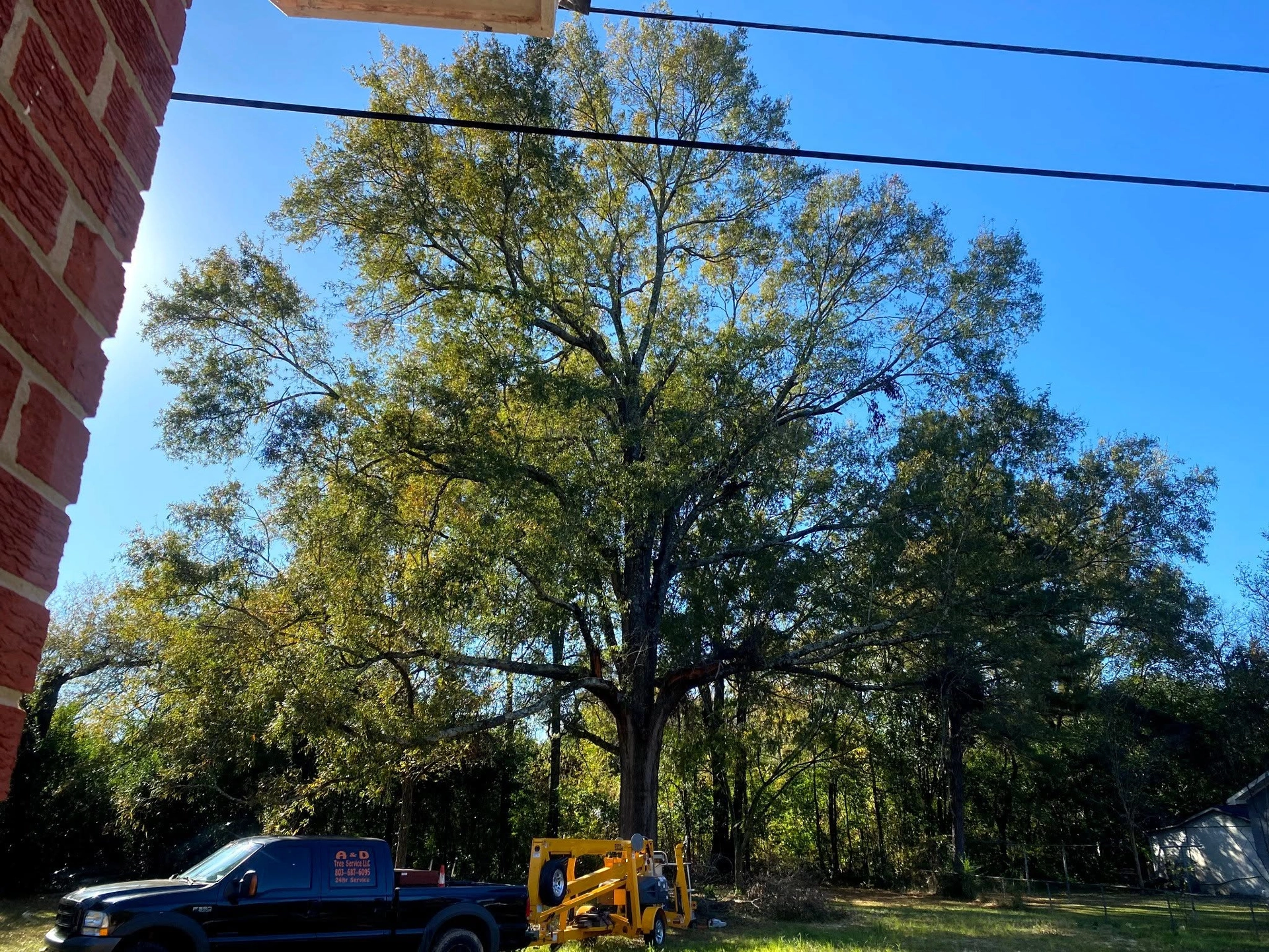 A&D pickup spider lift under oak power lines cayce sc