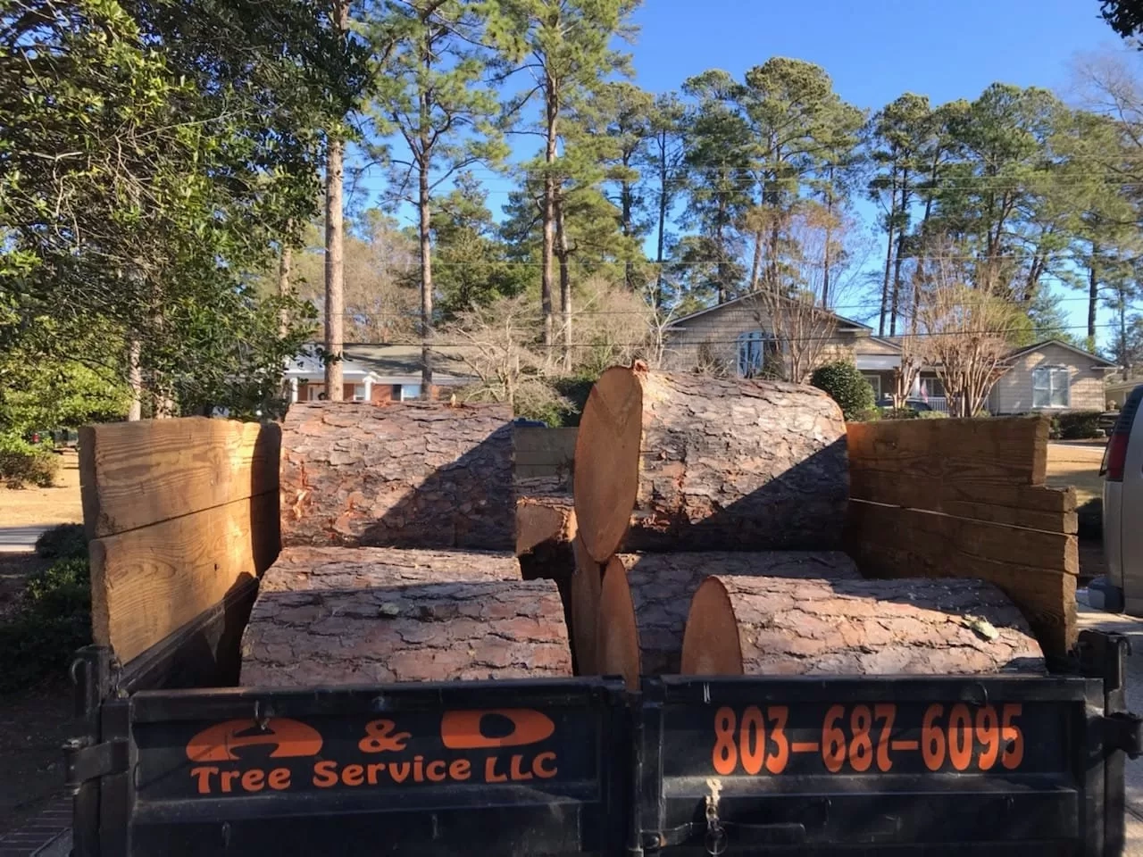 A&D rear view dump trailer stacked large pine rounds res