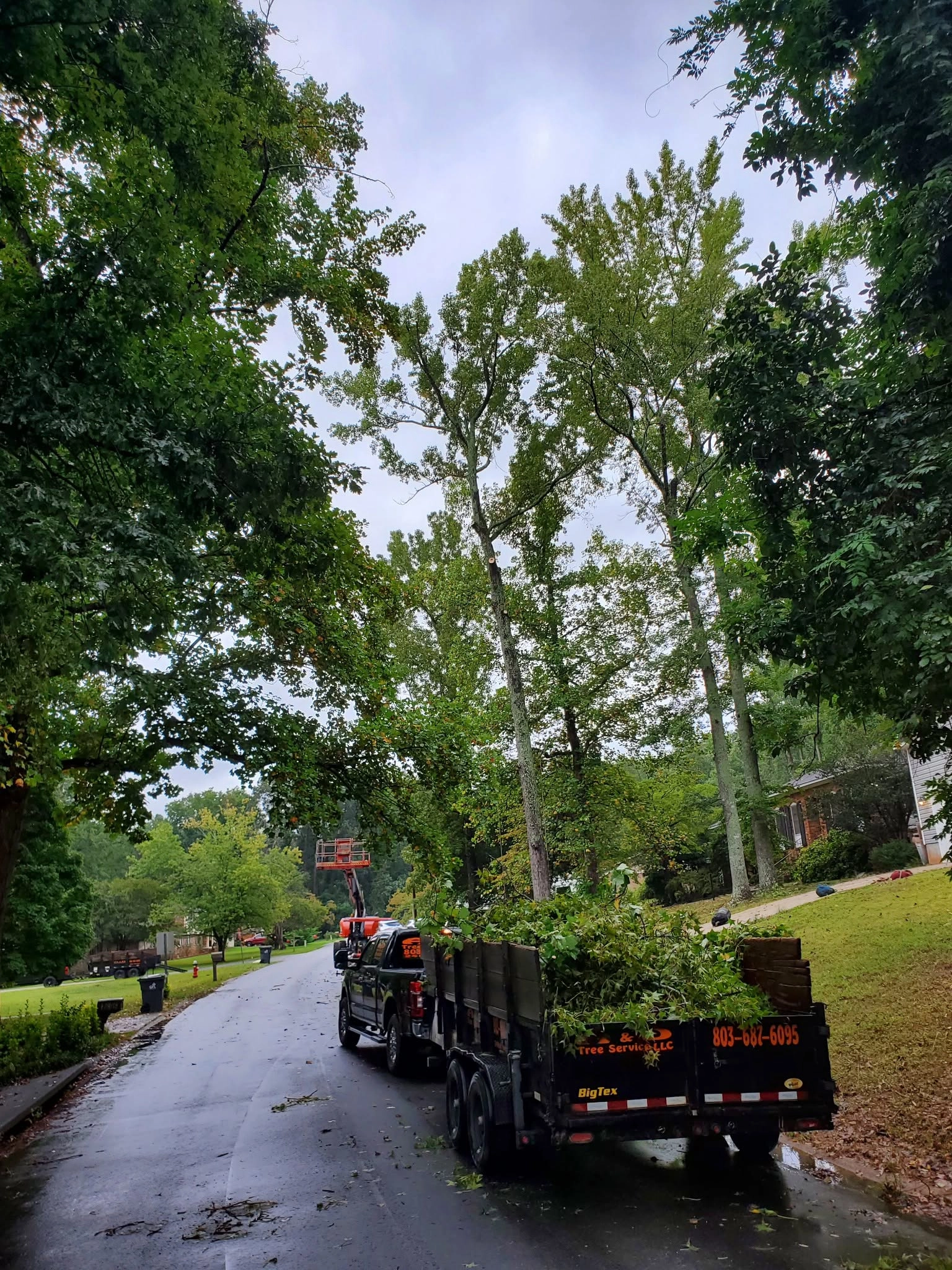 A&D tree service brush trailer cayce