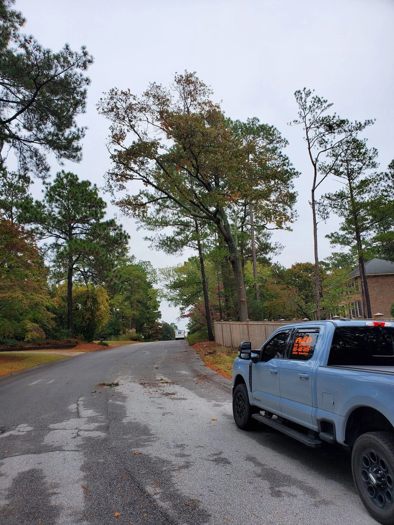 A&D tree service pickup parked tall pines street cayce s