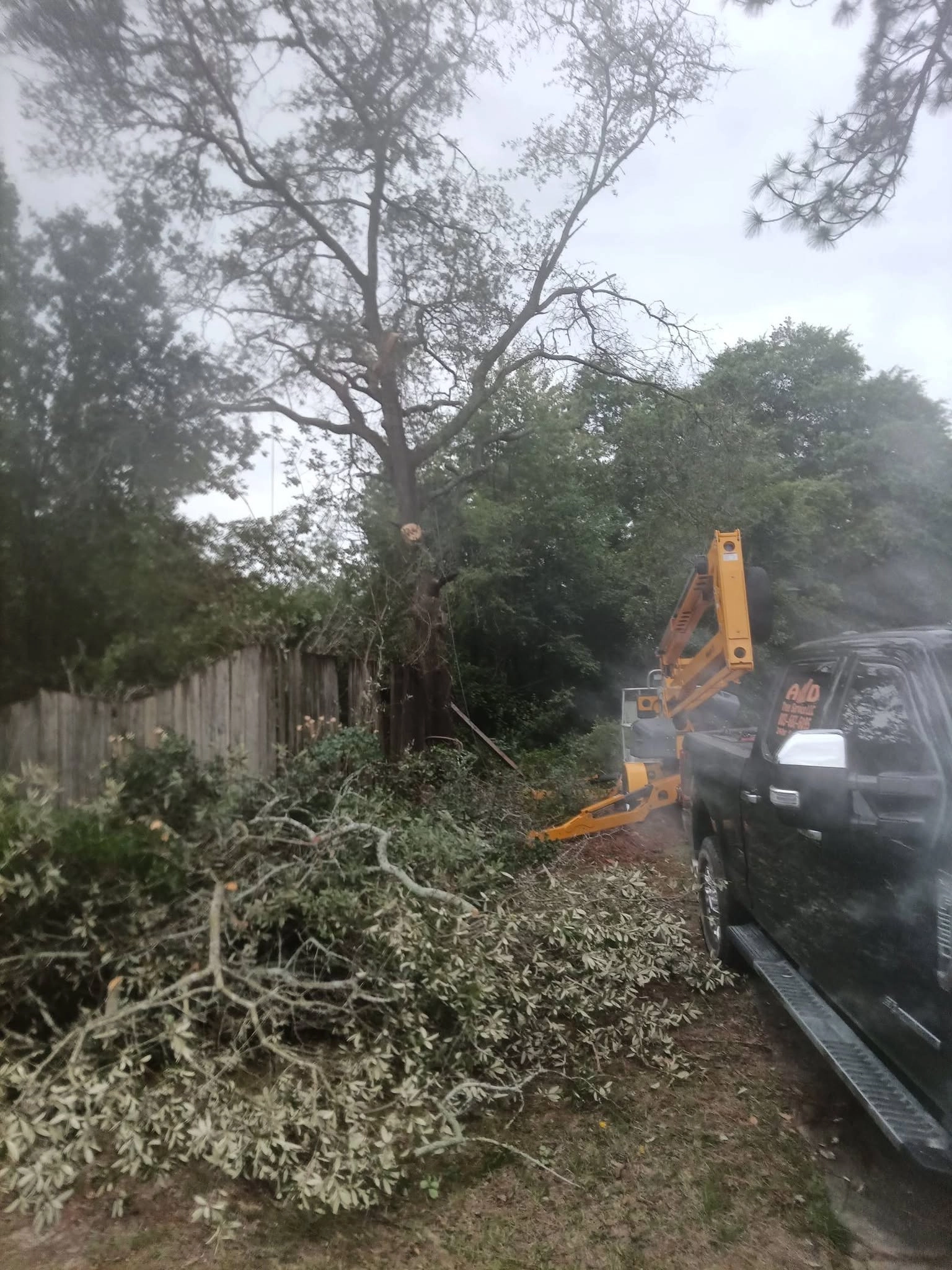 A&D truck spider lift limbed tree cayce
