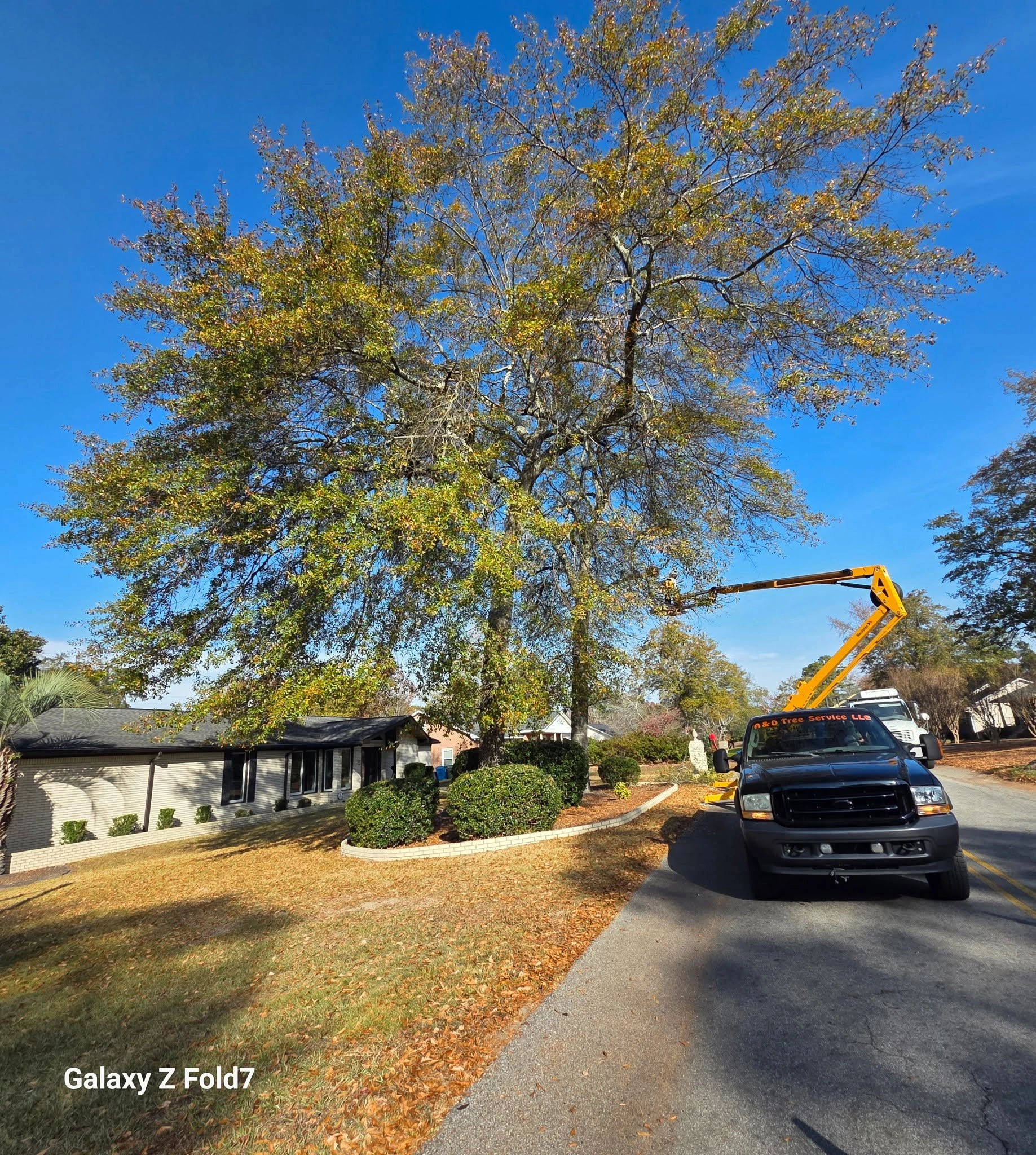 A&D truck spider lift oak white brick ranch cayce sc