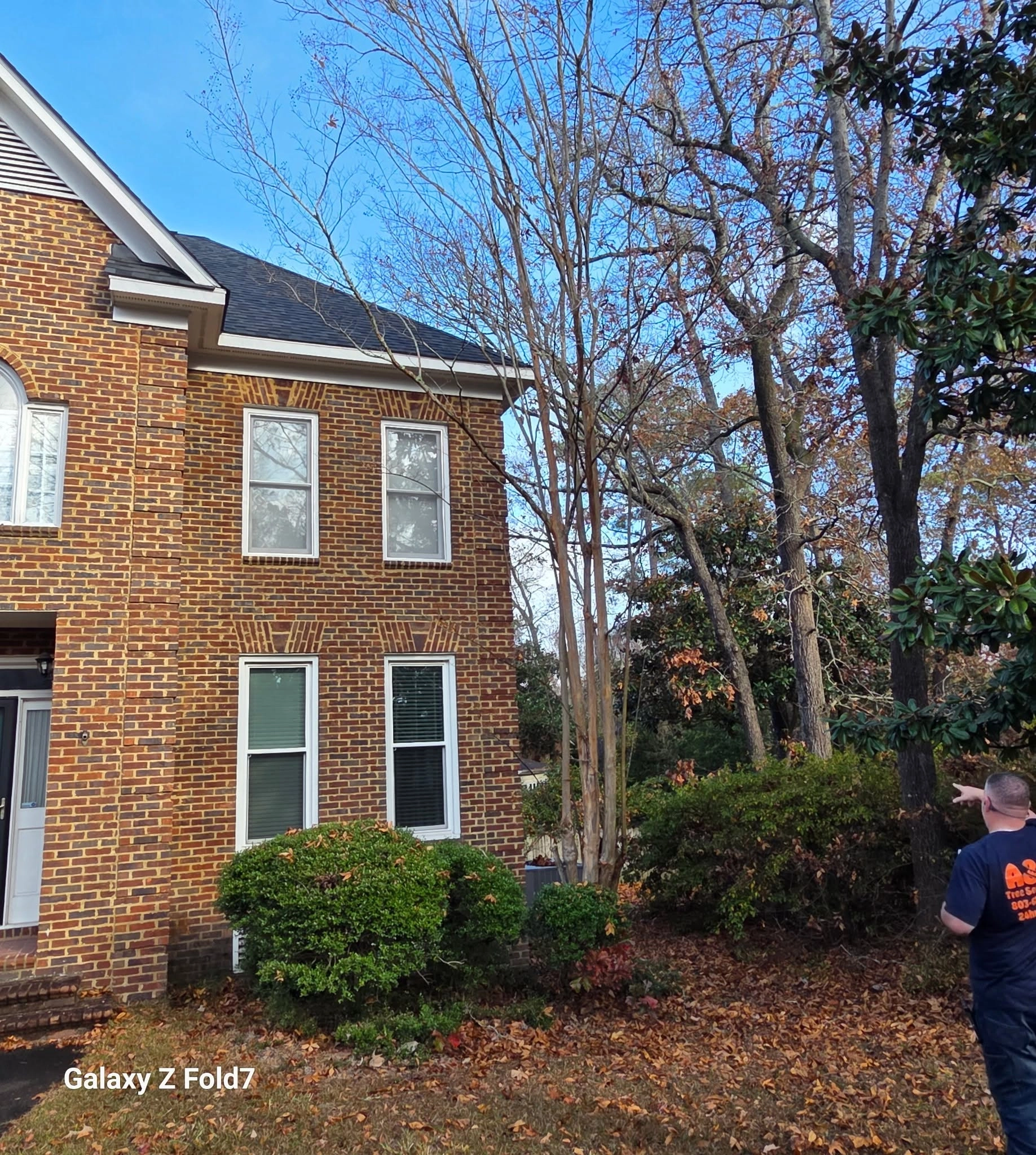 A&D worker pointing bare crape myrtle brick house cayce