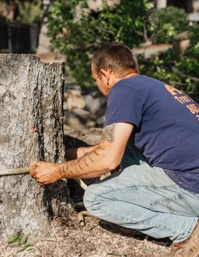 A&D worker rope tree stump cayce