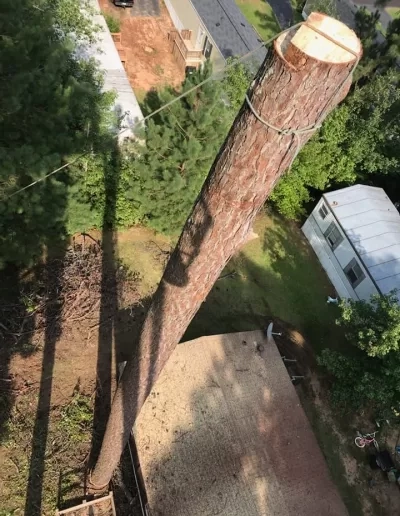 Aerial view topped pine spar over mobile home cayce sc