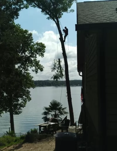 Arborist topping tall pine beside lake house lexington sc