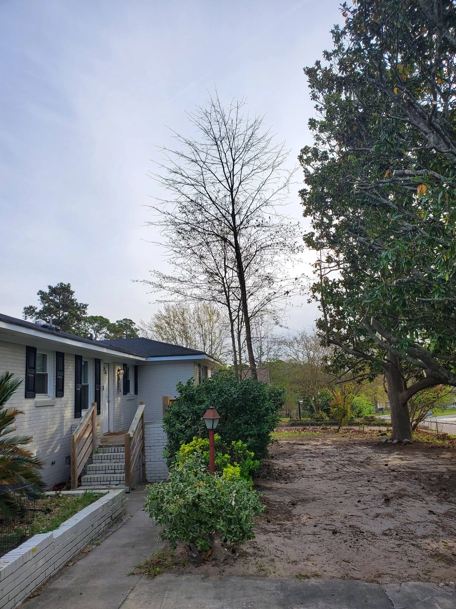 Bare hardwood magnolia white brick ranch bare dirt side yard