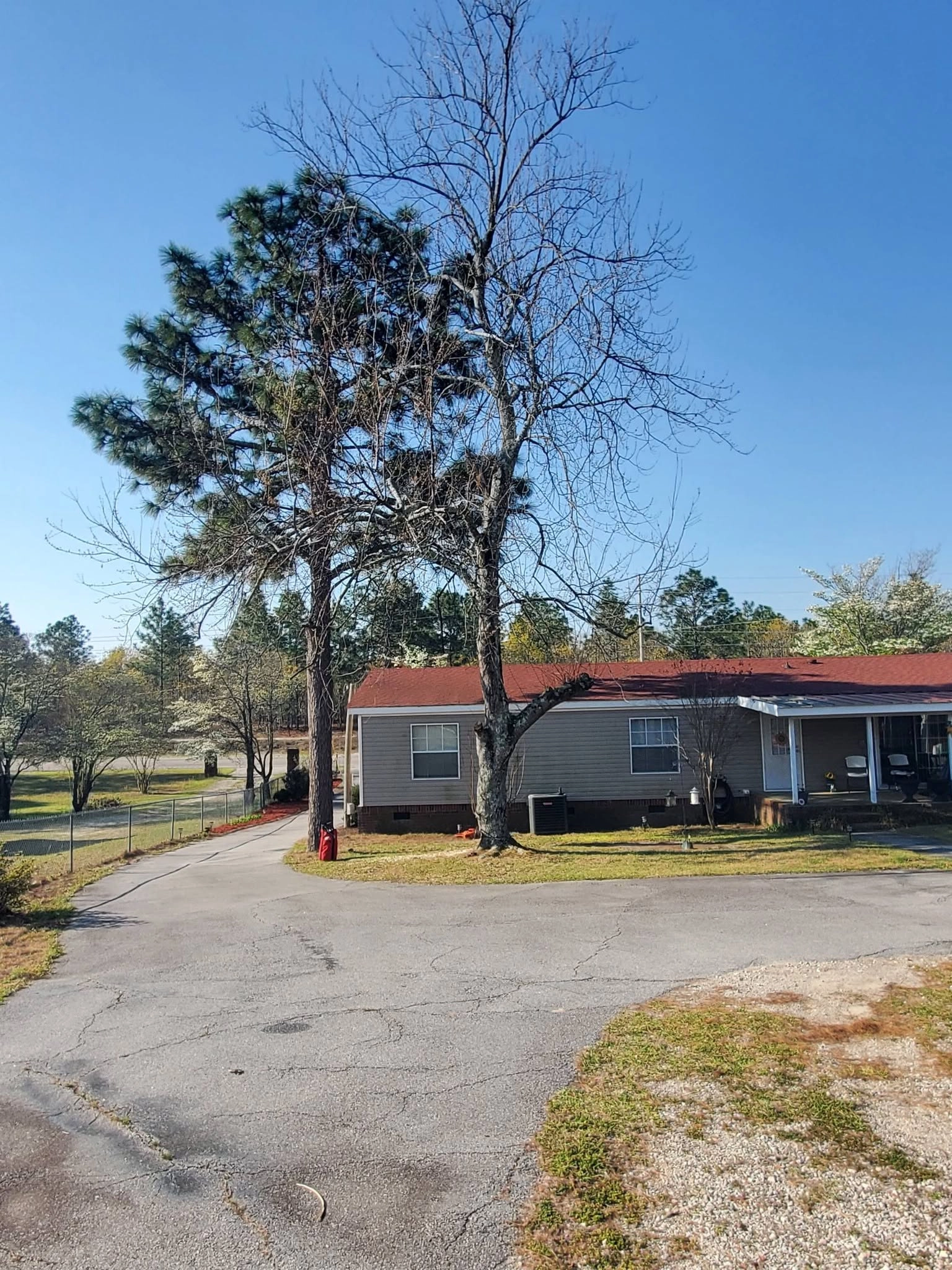Bare hardwood pine pair red roof manufactured home cracked d