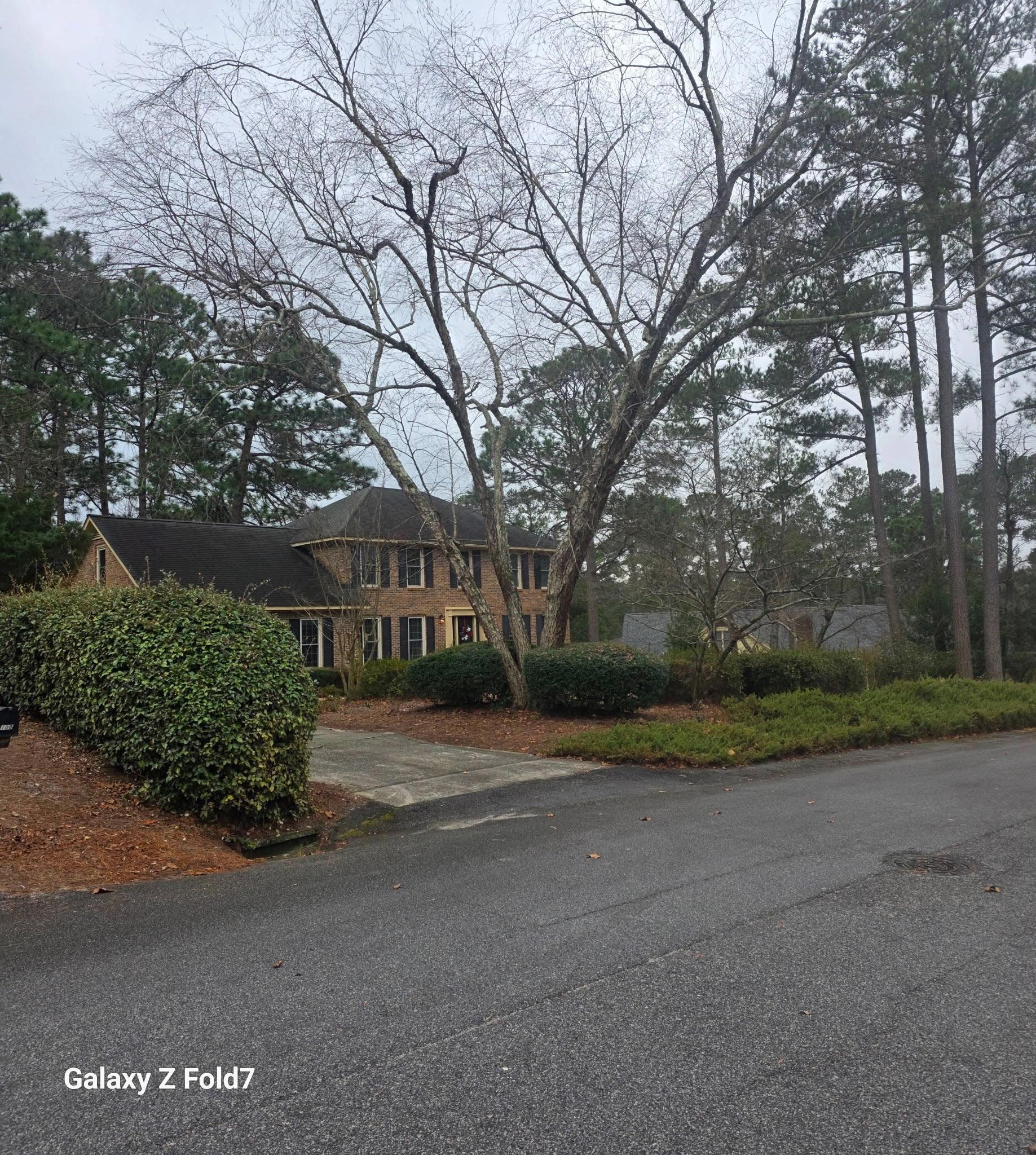 Bare multi trunk hardwood leaning over brick two story hedge