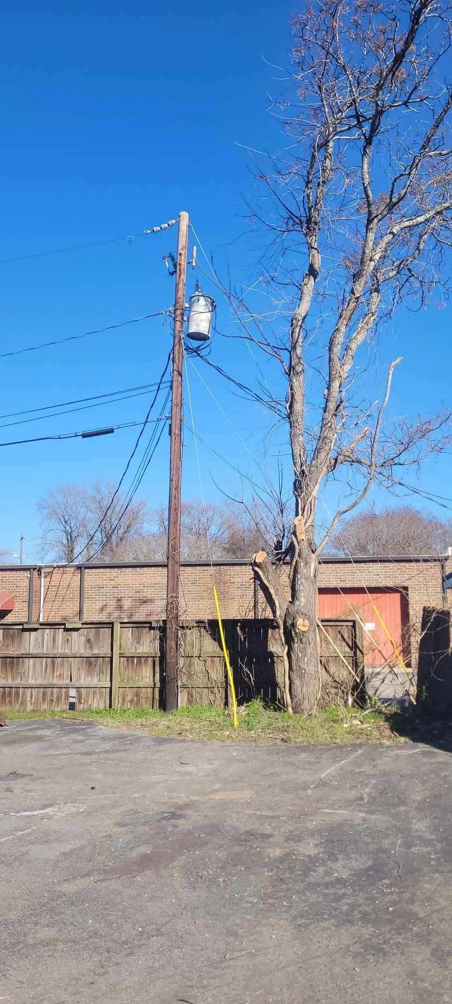 Bare tree utility pole transformer wood fence cayce
