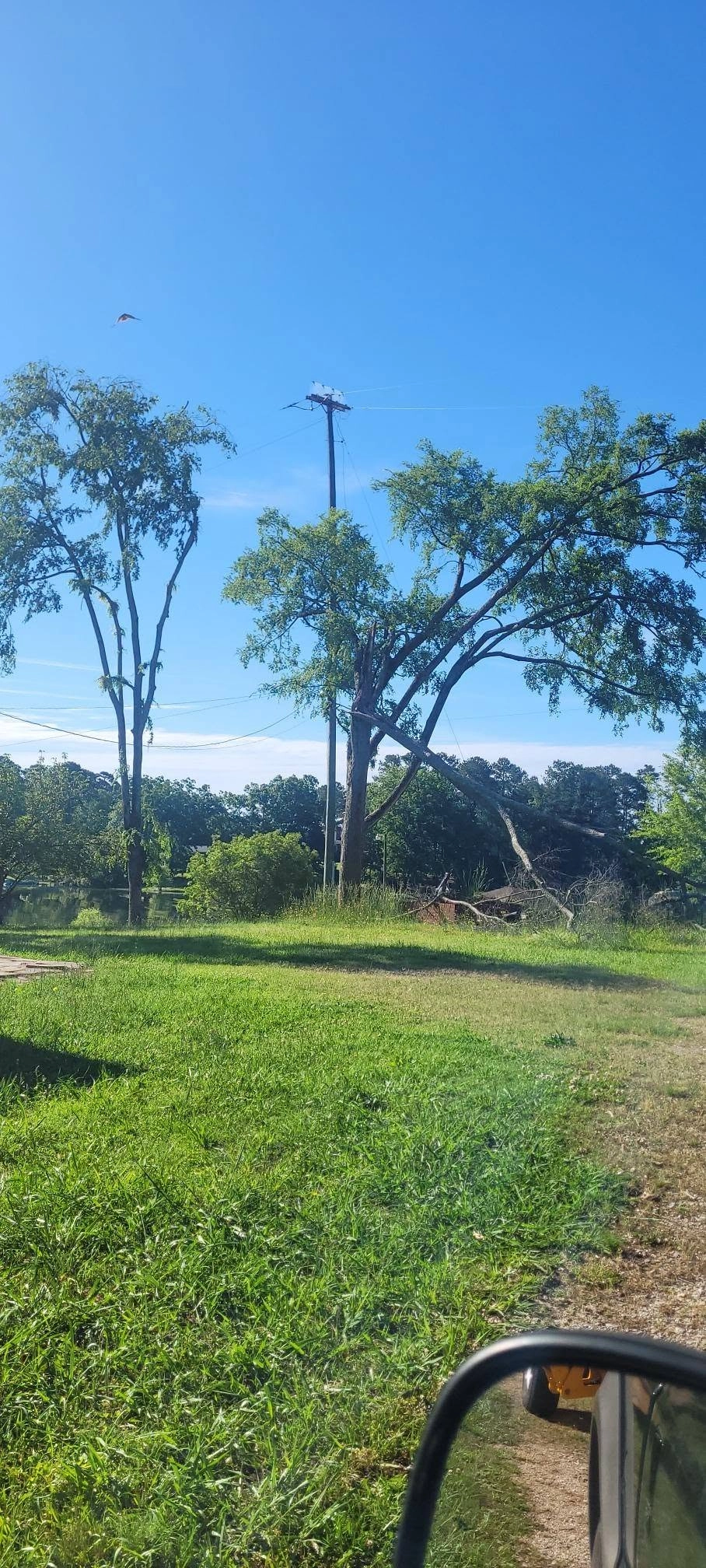Broken oak limb utility pole lakeshore lawn truck mirror cay