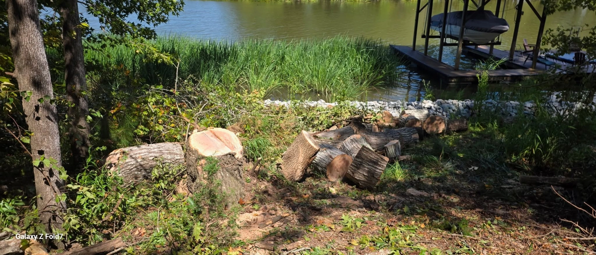Bucked log rounds cut stump lakeshore boat lift dock lexingt