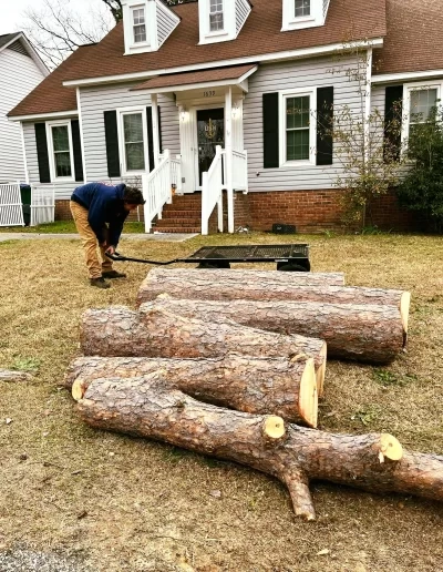 Bucked pine logs front lawn gray house cayce sc