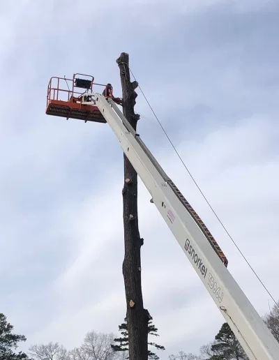 Bucket lift limbed trunk spar removal cayce sc