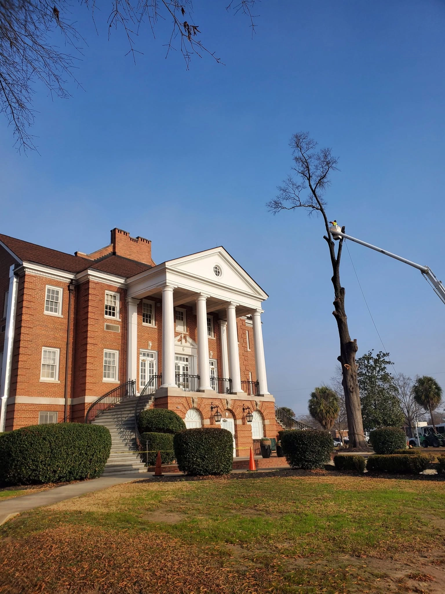 Bucket truck worker removing tall dead tree brick columned b