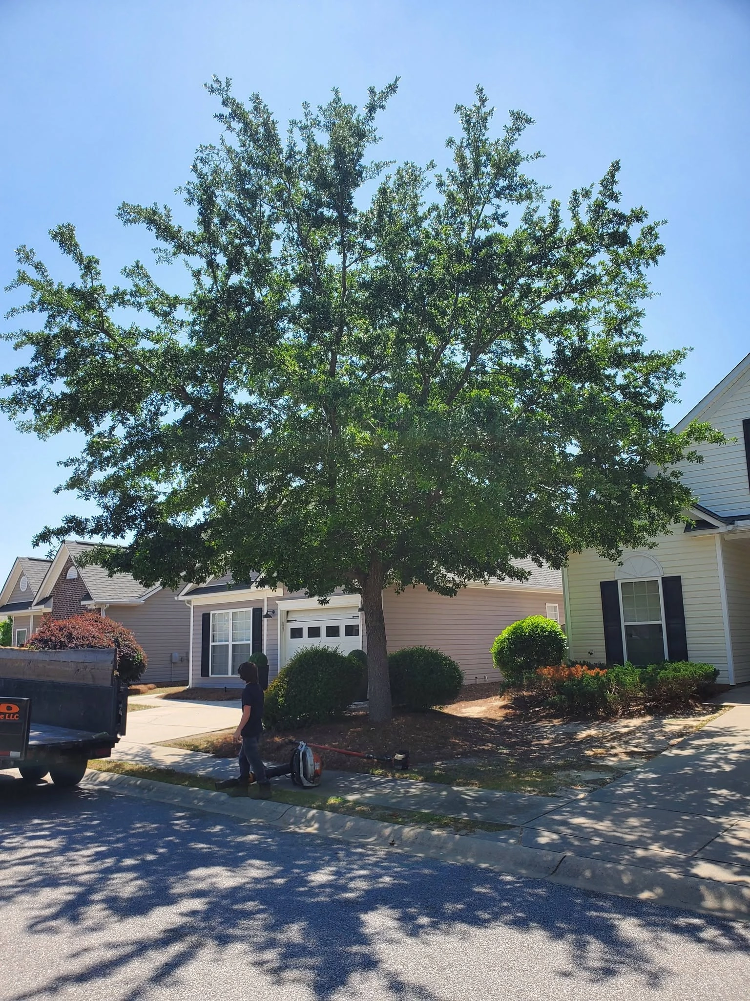 Canopy raised oak vinyl siding garage blower cleanup cayce
