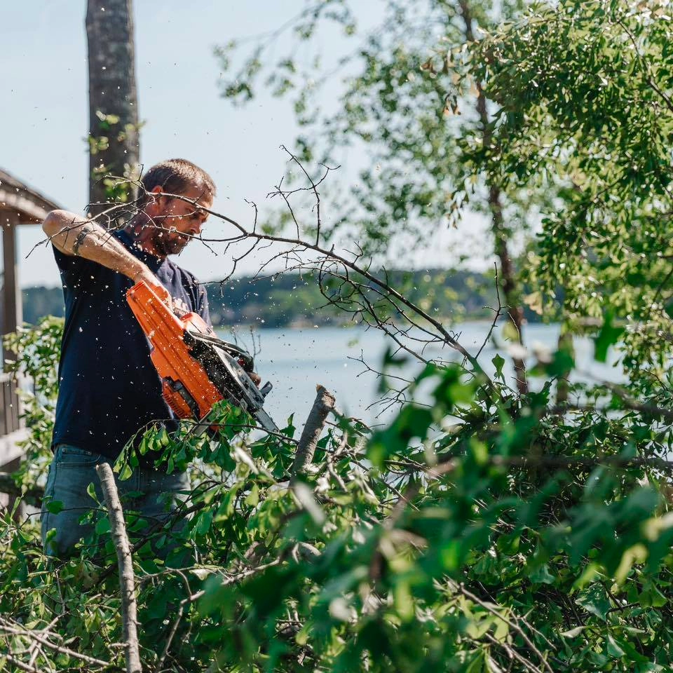 Chainsaw branch cutting lakefront cayce sc