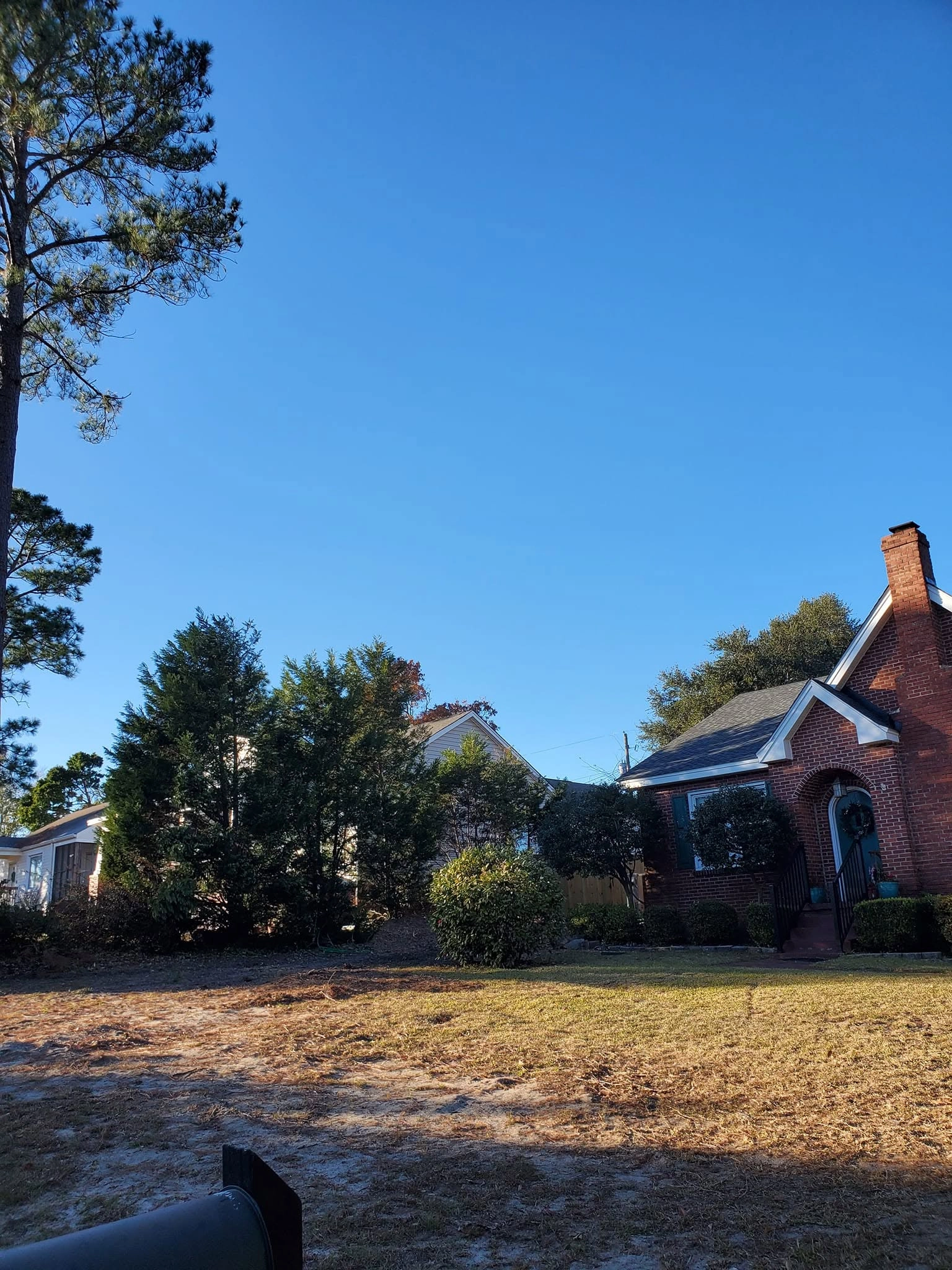 Cleared front yard after tree removal brick cottage arched d