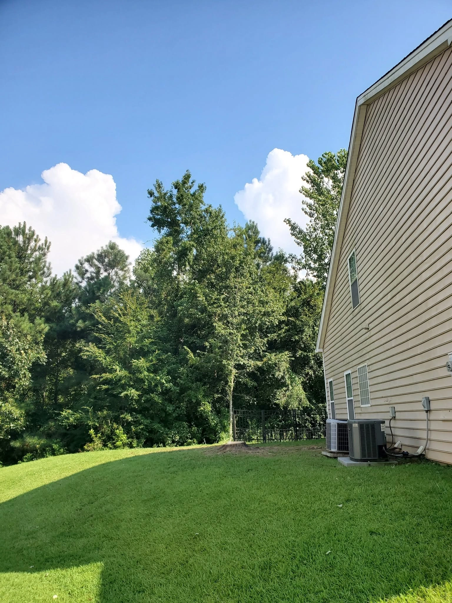 Cleared side yard tree line tan vinyl siding ac units west c