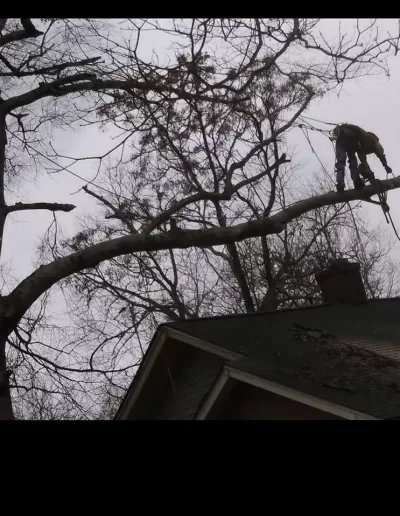 Climber cutting limb over roof chimney cayce sc