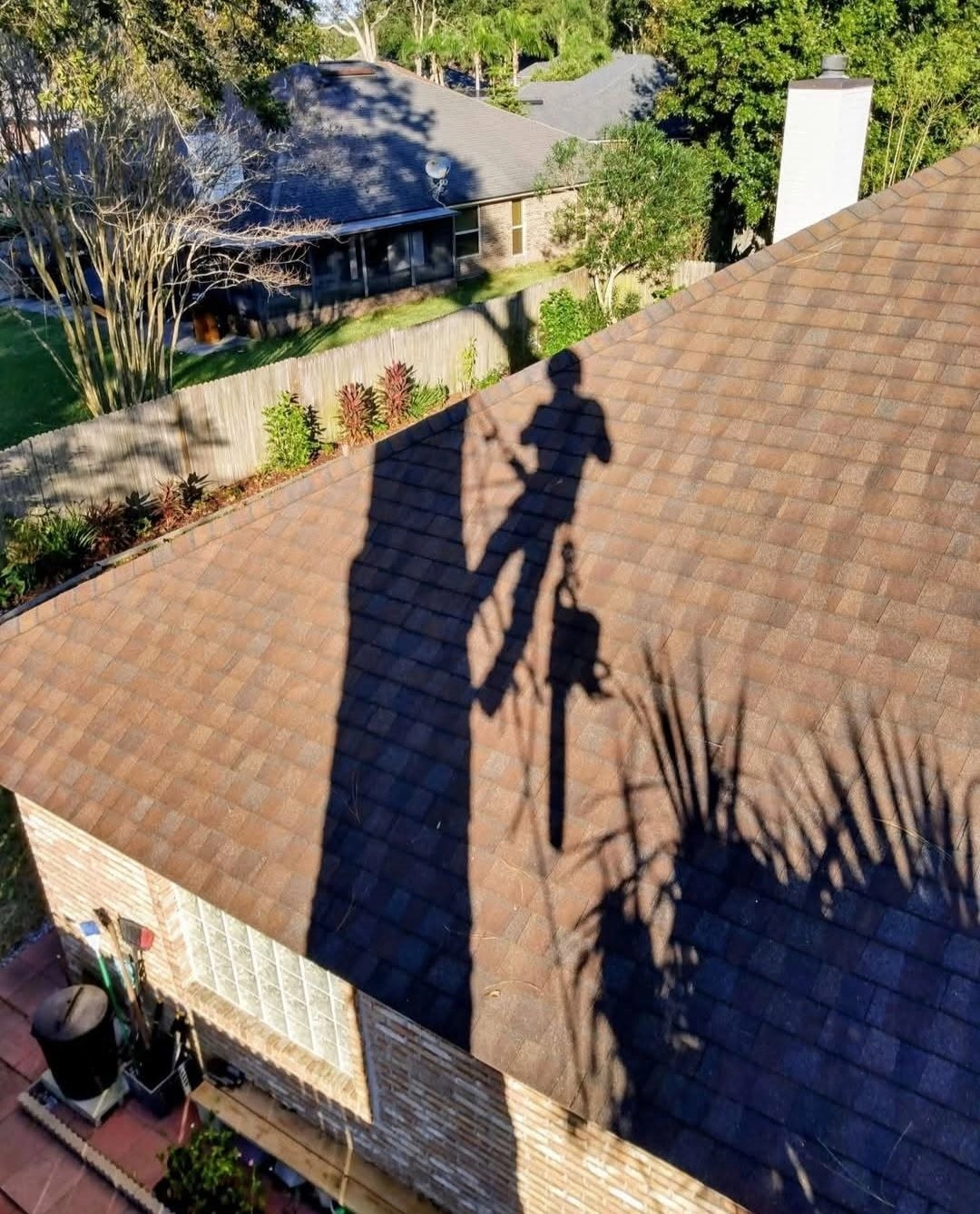 Climber shadow chainsaw shingle roof palm frond cayce sc