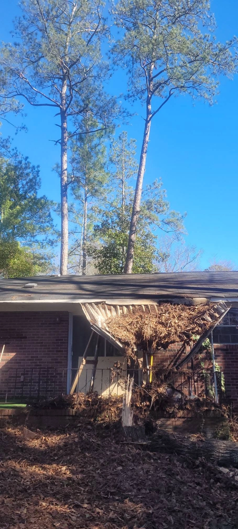 Collapsed porch overhang dead brown branches brick ranch cay