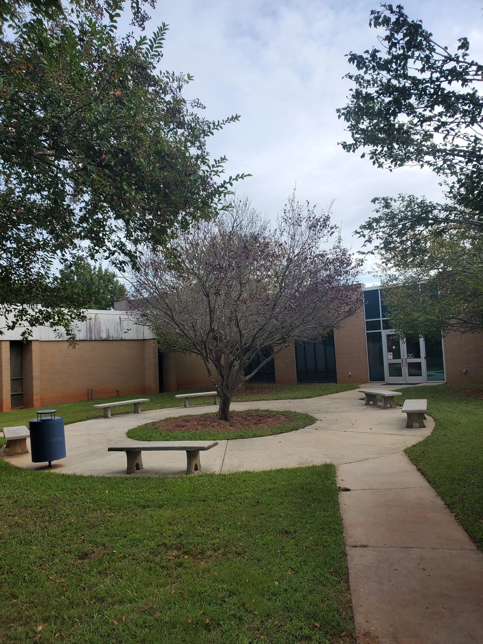 Crape myrtle mulch circle concrete benches school courtyard 