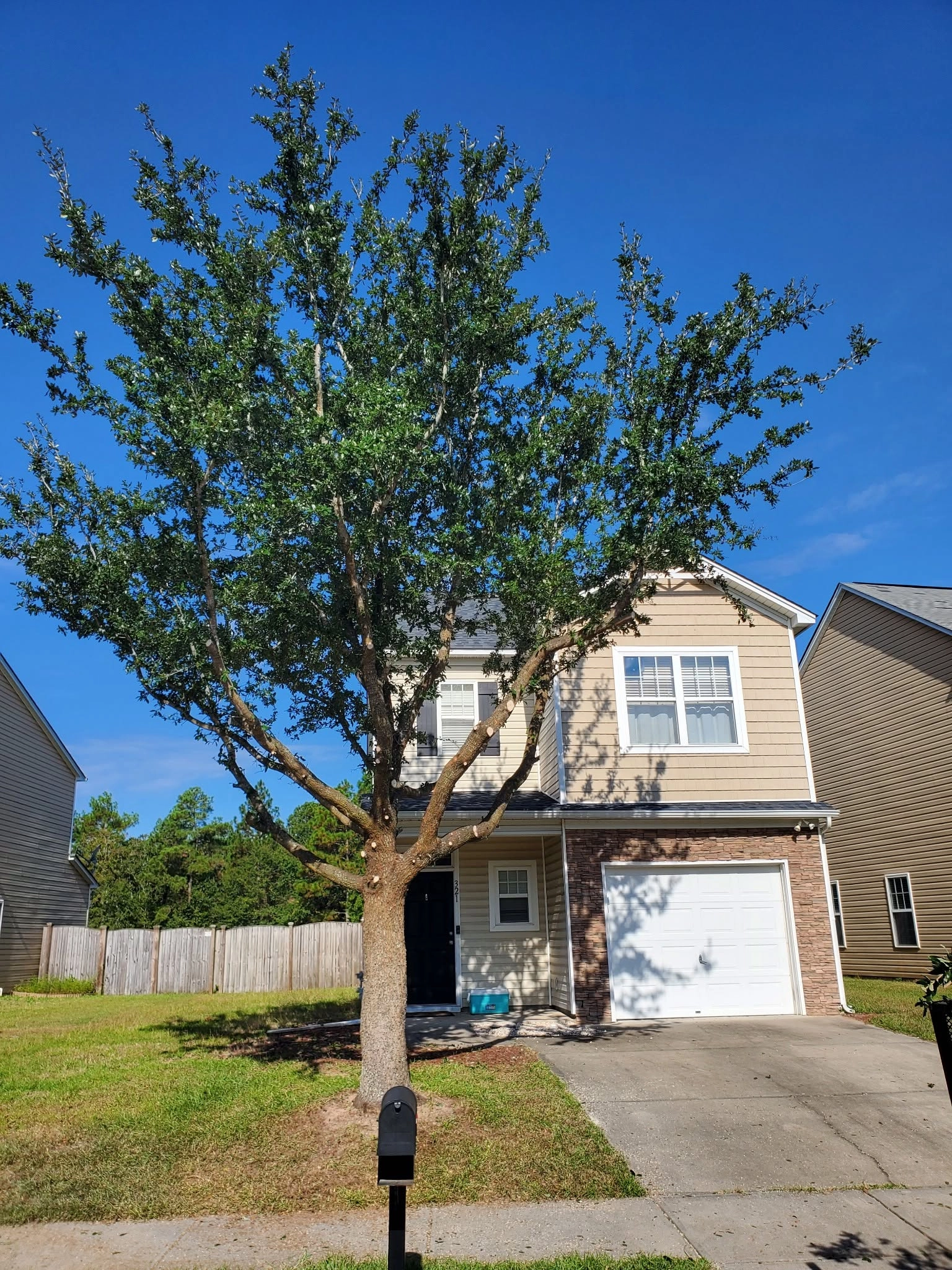 Crown raised young oak tan two story white garage door mailb