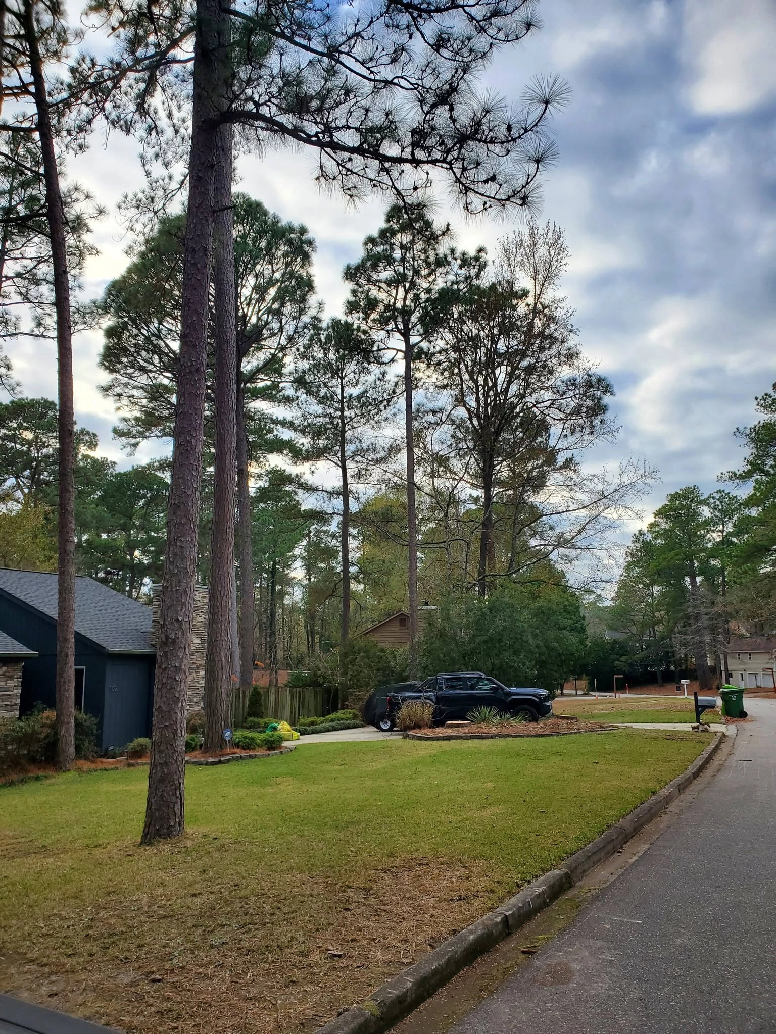 Curbside loblolly pines black pickup navy house cayce