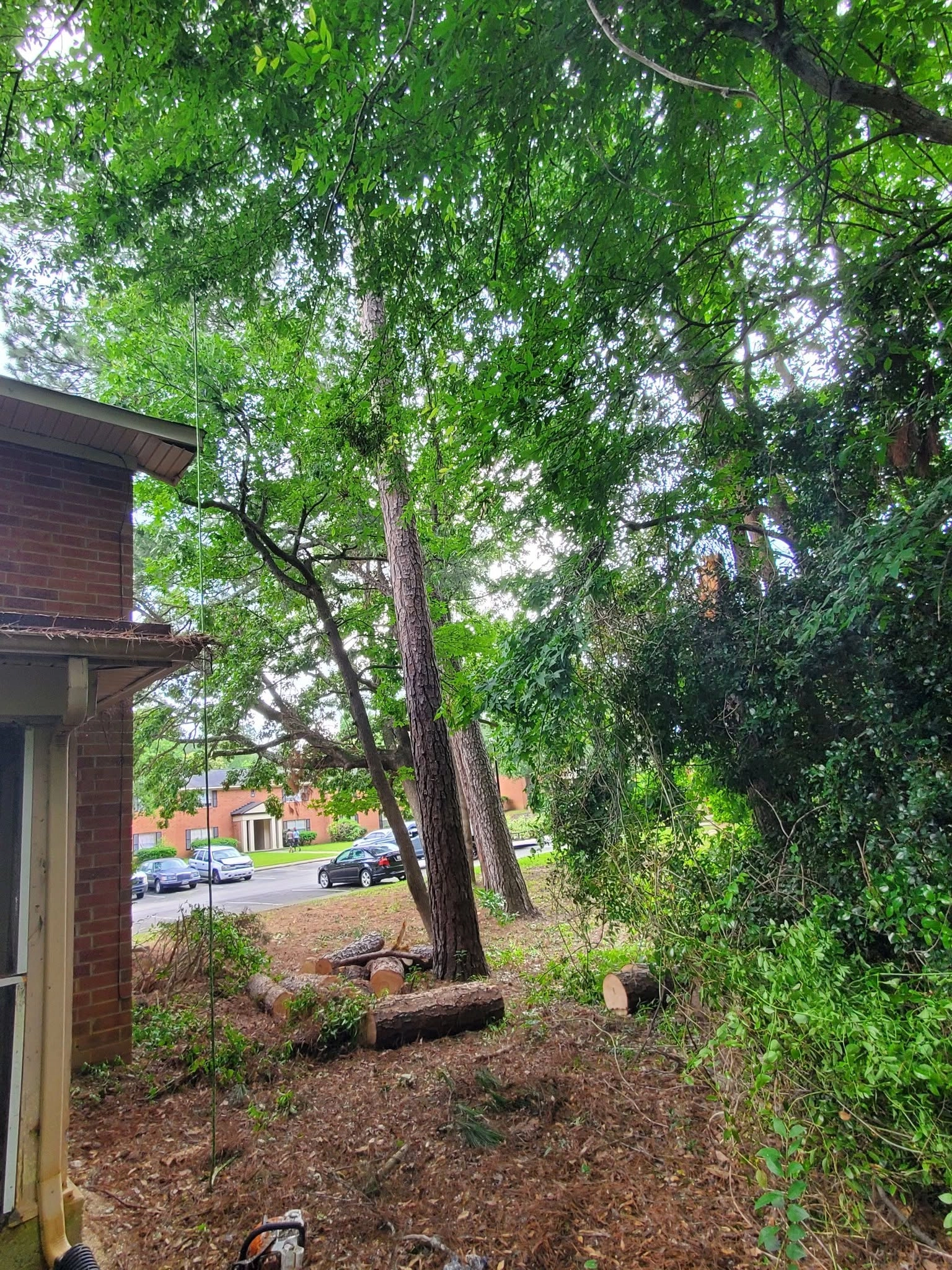 Cut pine log sections brick house side yard rigging line str