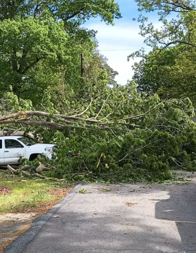 Fallen oak limb blocking street white pickup cayce sc