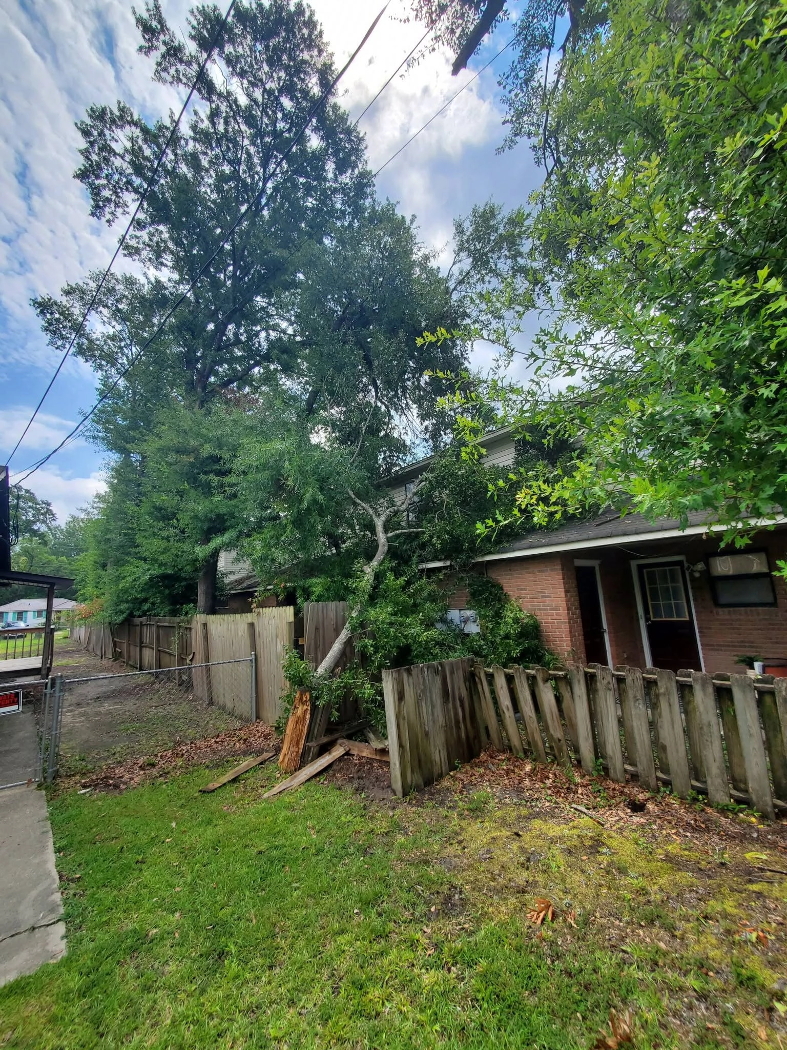 Fallen oak limb broken picket fence brick duplex utility lin