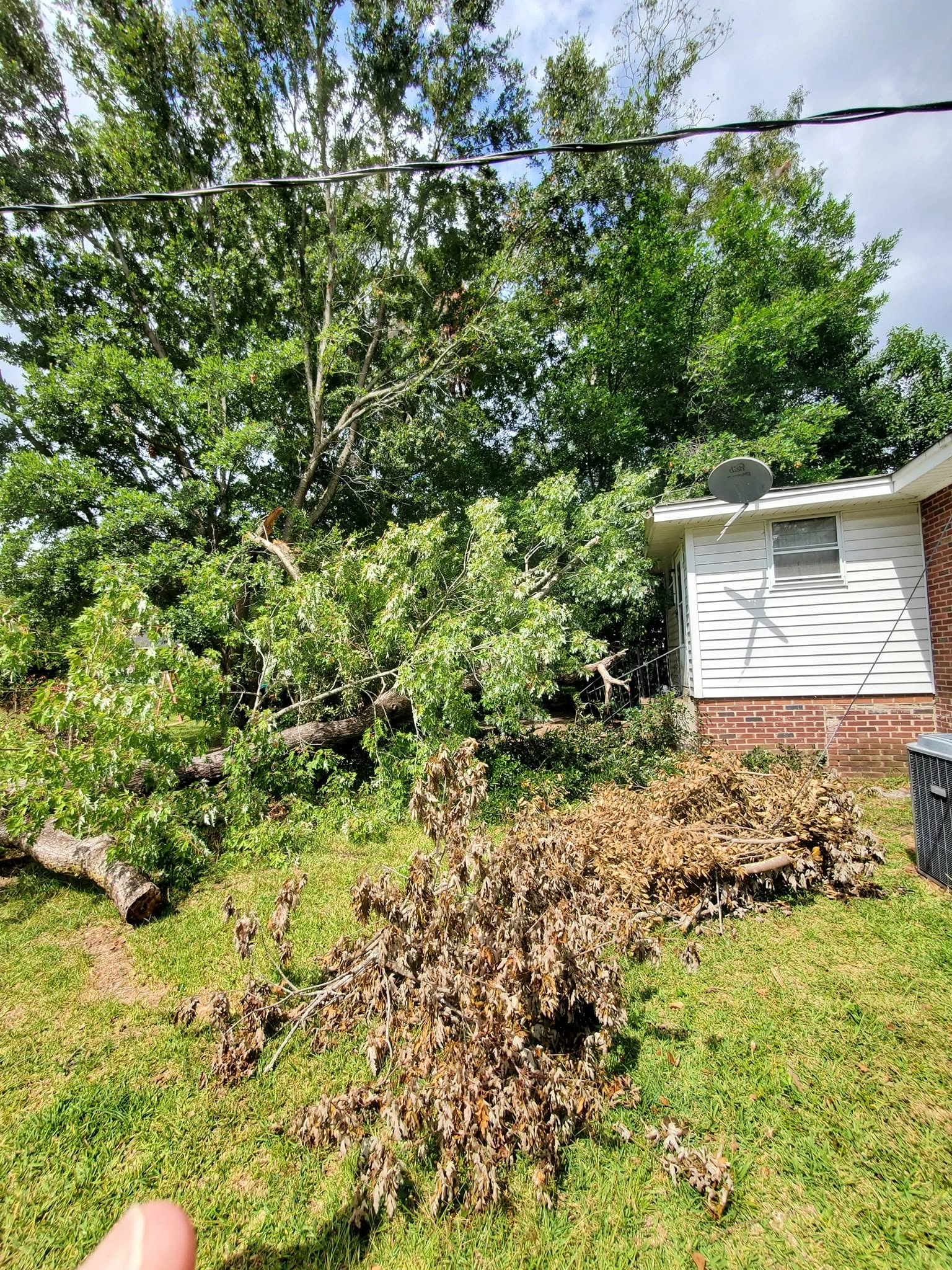 Fallen oak limb brush pile satellite dish brick house cayce 