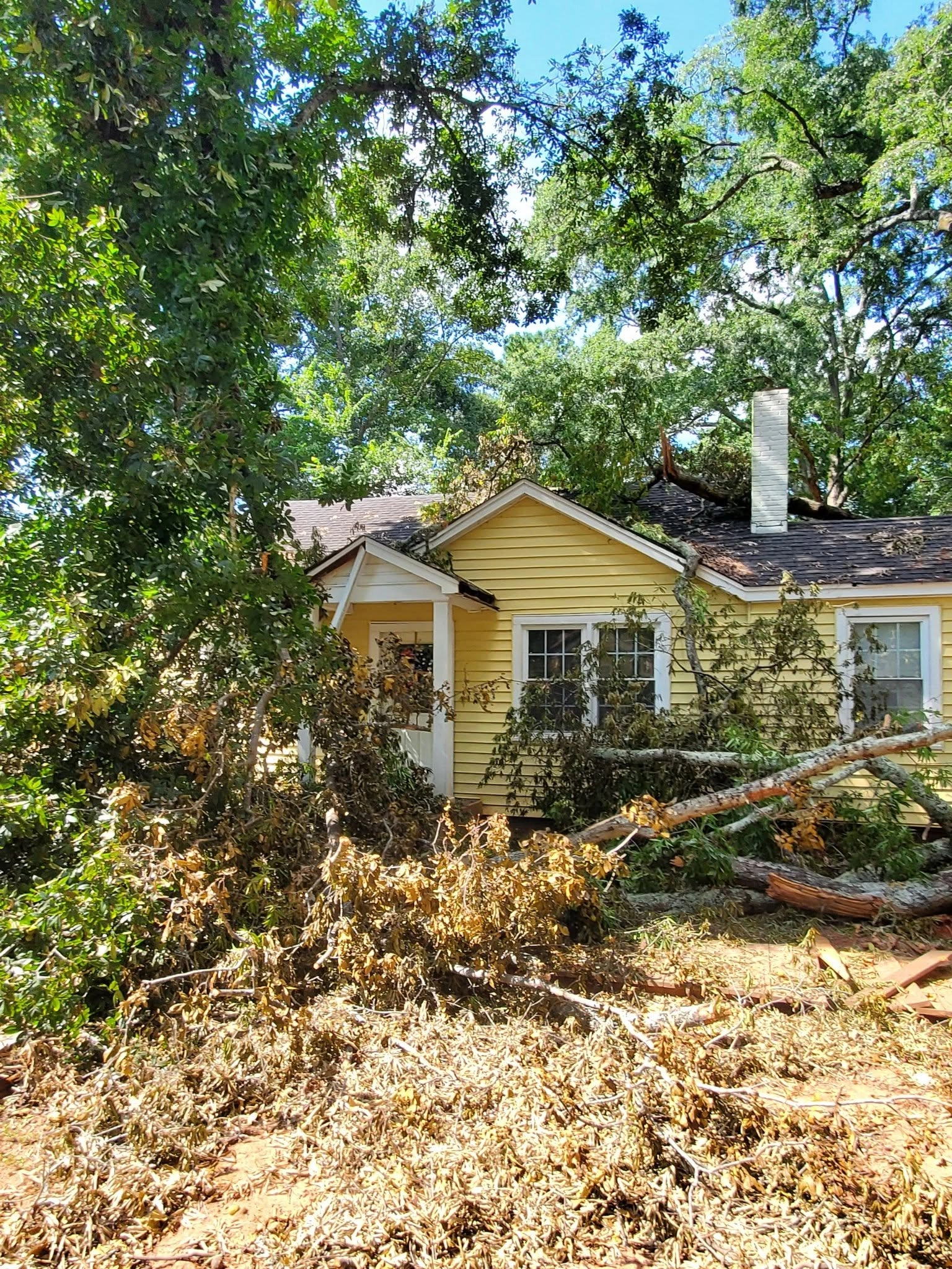 Fallen oak limbs yellow cottage roof brown debris cayce